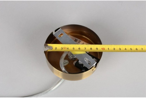 Подвесной светильник Aployt Letizia APL.314.03.10 в Нижнем Новгороде фото 6