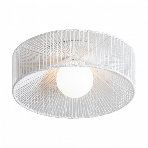 Накладной светильник Freya Cottage FR5405CL-01W в Нижнем Новгороде фото 4