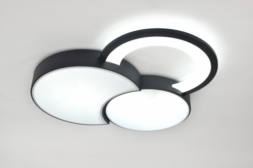 Потолочная люстра Rivoli Aliona Б0066452 в Нижнем Новгороде фото 3