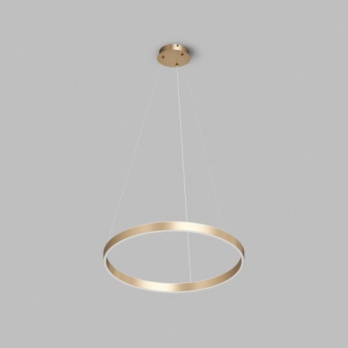 Подвесной светильник Denkirs RAYDIA DK6273-SG в Нижнем Новгороде фото 7