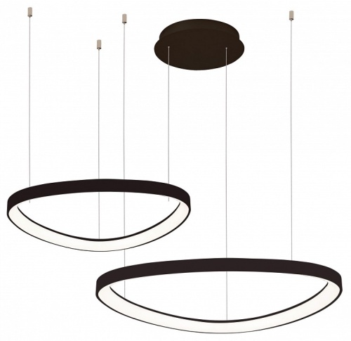 Подвесной светильник Zortes Innra ZRS.2356.02 в Нижнем Новгороде фото 2