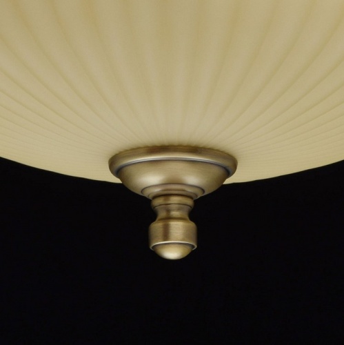 Накладной светильник MW-Light Афродита 1 317011202 в Белокурихе фото 9