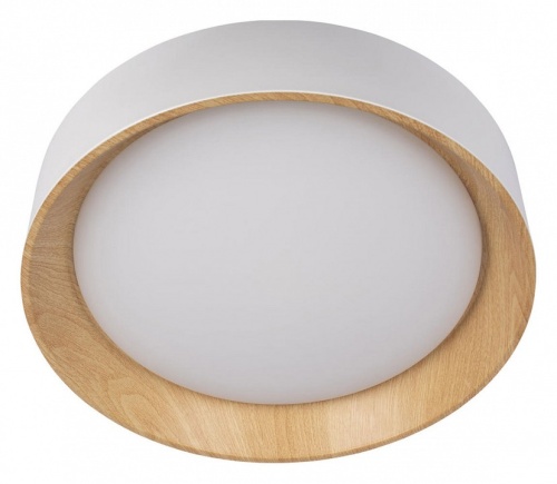 Накладной светильник Loft it Coin 10202 White в Нижнем Новгороде фото 5