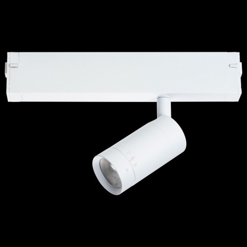 Светильник на штанге Lightstar Teta 205016 в Нижнем Новгороде фото 3