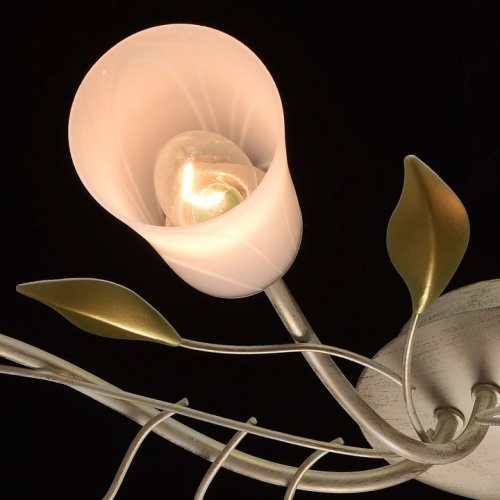 Потолочная люстра MW-Light Восторг 16 242015306 в Нижнем Новгороде фото 10