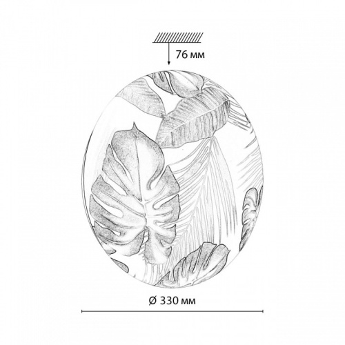 Накладной светильник Sonex Flori 7748/CL в Нижнем Новгороде фото 2
