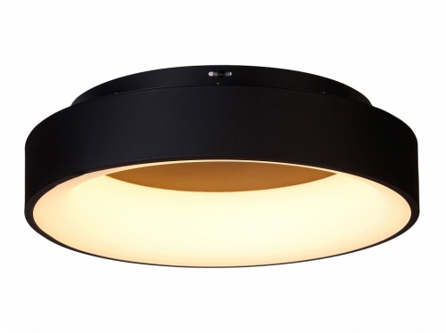 Накладной светильник MyFar Shannon MR2193-1PL в Нижнем Новгороде фото 6