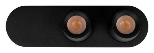 Накладной светильник Loft it Quiet 10320/2 Black в Нижнем Новгороде фото 6