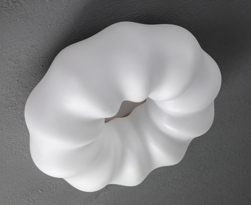 Накладной светильник Zortes Soft ZRS.1118.3 в Нижнем Новгороде фото 14