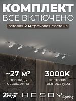 Комплект трековый Hesby Lighting Skylite №3 HSBL_kompl_S003_VI2W3K в Нижнем Новгороде