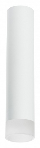 Накладной светильник Lightstar Rullo R49631 в Сочи