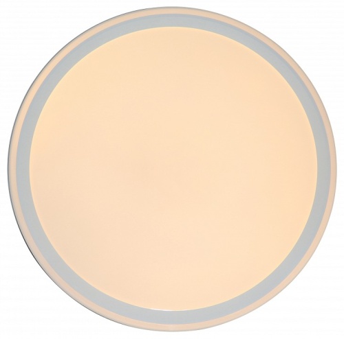 Накладной светильник Zortes Bella ZRS.1200.09 в Нижнем Новгороде фото 8