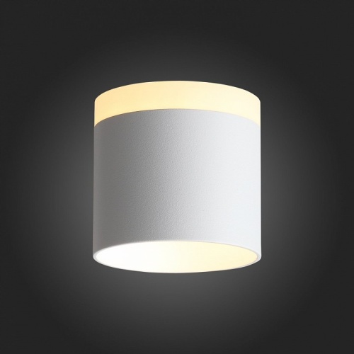 Накладной светильник ST-Luce Panaggio ST102.502.09 в Нижнем Новгороде фото 5