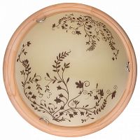 Накладной светильник TopLight Irene TL9630Y-00PN в Нижнем Новгороде