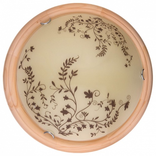 Накладной светильник TopLight Irene TL9630Y-00PN в Нижнем Новгороде