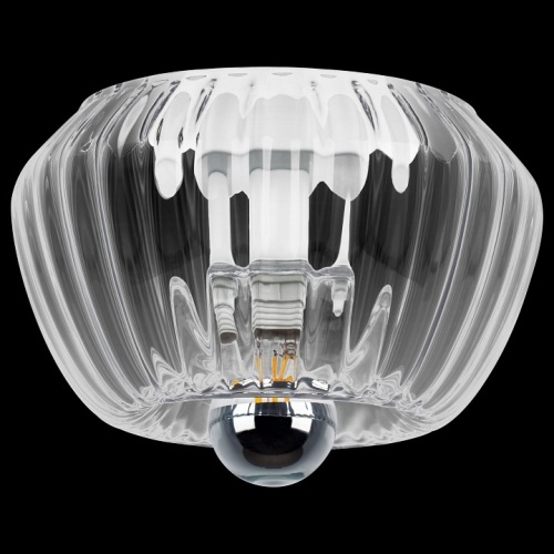 Накладной светильник Lightstar Celesta 809000 в Нижнем Новгороде фото 7