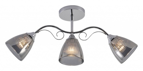 Люстра на штанге 01542-0.3-03 CR в Нижнем Новгороде