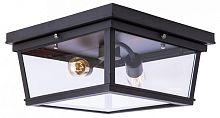 Накладной светильник Loft it Modern Filament LOFT3110-2C в Бугульме