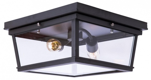 Накладной светильник Loft it Modern Filament LOFT3110-2C в Заречном