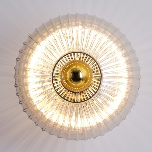 Накладной светильник Lussole  LSP-5049 в Нижнем Новгороде фото 2