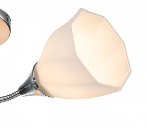 Потолочная люстра Escada Camellia 664/3P в Нижнем Новгороде фото 3