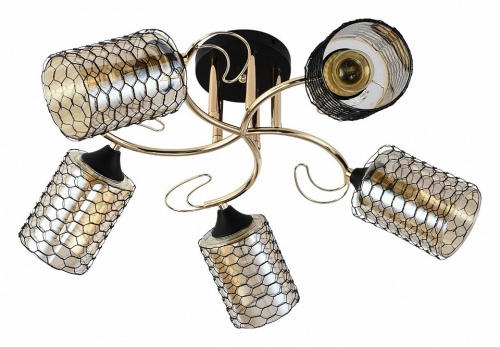 Потолочная люстра 01309-0.3-05 BK+FGD в Нижнем Новгороде