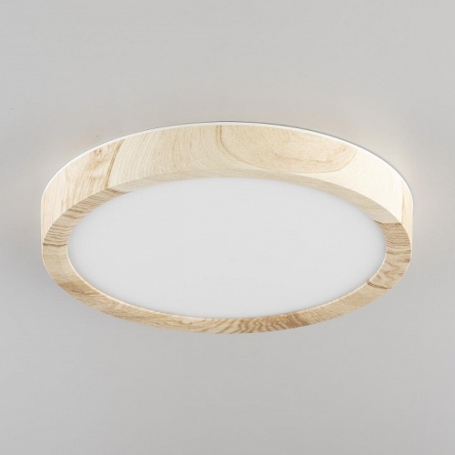 Накладной светильник Citilux Бейсик CL738122N в Нижнем Новгороде фото 9