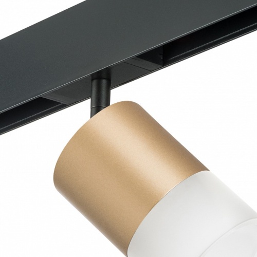 Светильник на штанге Lightstar Rullo PRO349081 в Нижнем Новгороде фото 3