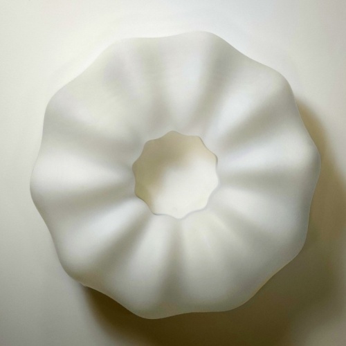 Накладной светильник Zortes Soft ZRS.1118.4 в Нижнем Новгороде фото 11