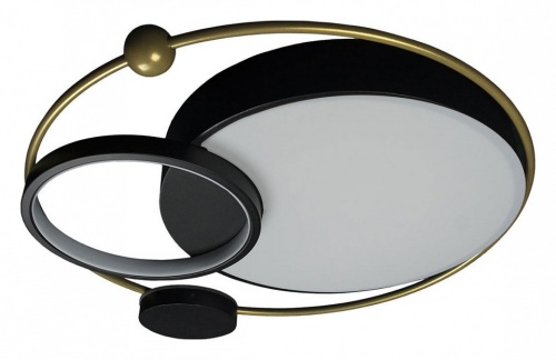 Накладной светильник Loft it Mike 10064 в Нижнем Новгороде фото 2