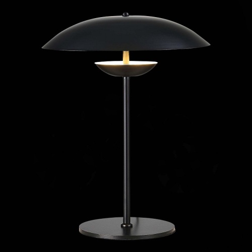 Настольная лампа декоративная ST-Luce Armonico SL6502.404.01 в Сургуте фото 3