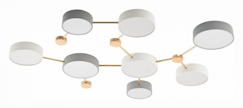 Накладной светильник EVOLUCE Dossena SLE600102-08 в Нижнем Новгороде фото 4