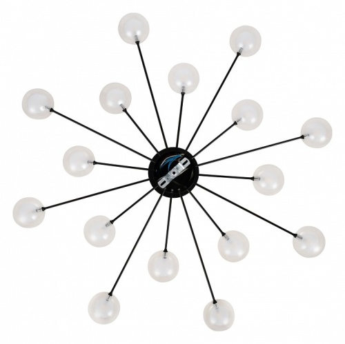 Потолочная люстра Freya Celebrity FR5242CL-16B1 в Нижнем Новгороде фото 5