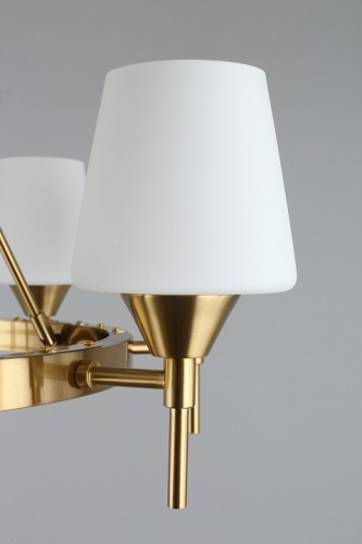 Подвесная люстра Aployt Lyus APL.840.03.08 в Нижнем Новгороде фото 15