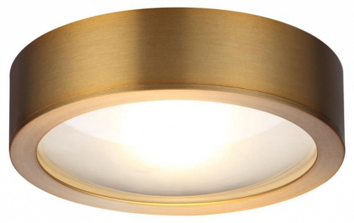 Накладной светильник Odeon Light Reus 4342/7CL в Чайковском фото 2