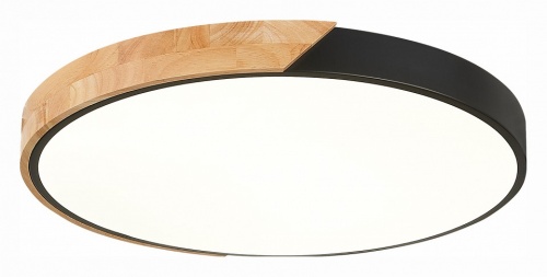 Накладной светильник EVOLUCE Festa SLE200942-01 в Нижнем Новгороде