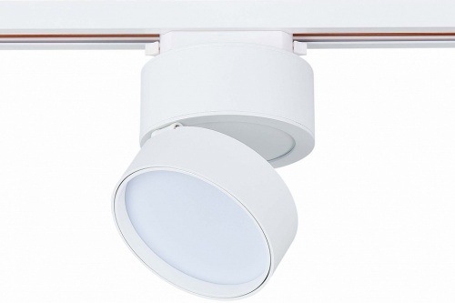 Светильник на штанге ST-Luce ST651 ST651.536.14 в Нижнем Новгороде фото 3