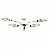 Накладной светильник Maytoni Ventura MOD012CL-06G в Нижнем Новгороде