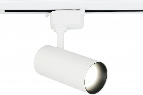 Светильник на штанге Ambrella Light GL GL5821 в Нижнем Новгороде