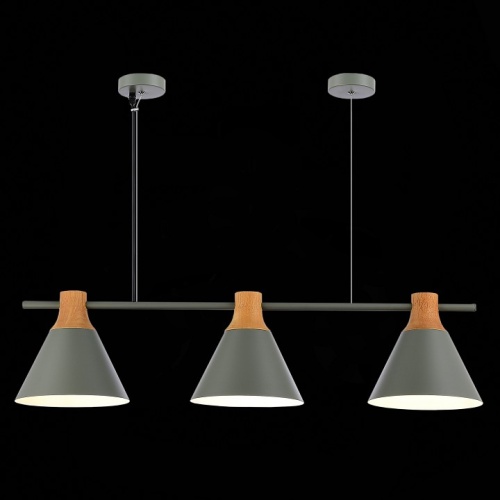 Подвесной светильник EVOLUCE Modica SLE125113-03 в Нижнем Новгороде фото 7