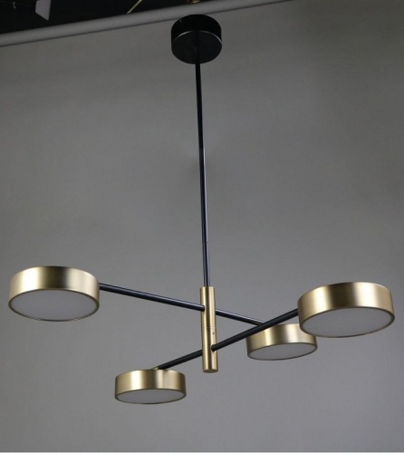 Подвесная люстра Zortes Lunar ZRS.01243.04 в Нижнем Новгороде фото 7