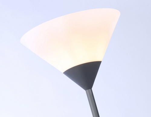 Торшер Ambrella Light TR TR97615 в Нижнем Новгороде фото 2