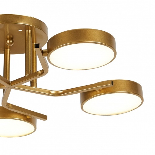 Потолочная люстра Escada Starlight 10273/5LED в Нижнем Новгороде фото 2