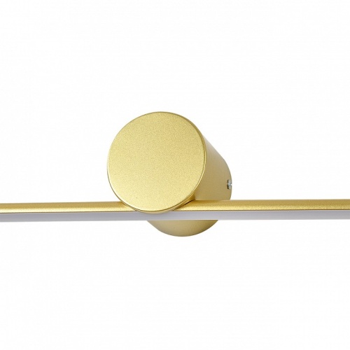 Подсветка для картины Escada Line 10291/1LED Gold в Нижнем Новгороде фото 4