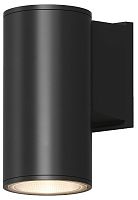 Светильник на штанге Denkirs BORG DK9820-BK в Нижнем Новгороде