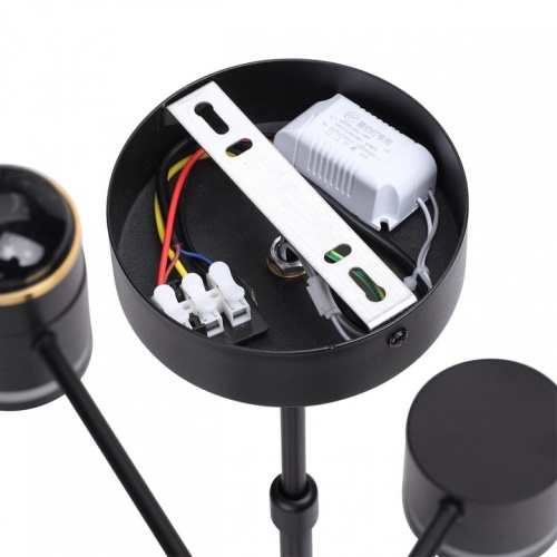 Люстра на штанге Lumion Virsava 8234/6C в Нижнем Новгороде фото 3