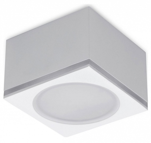 Накладной светильник Ambrella Light TN TN266 в Нижнем Новгороде