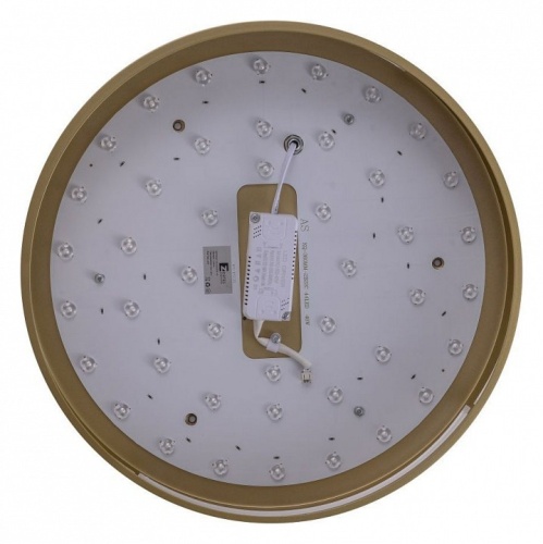 Накладной светильник Zortes Gabby ZRS.90610.40 в Нижнем Новгороде фото 3