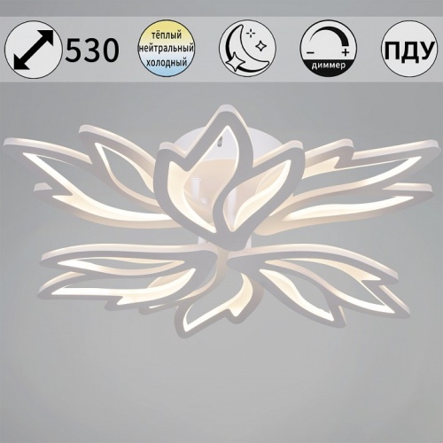 Потолочная люстра 09862-0.3-3+3 WH в Нижнем Новгороде фото 6