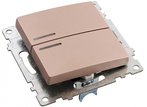 Выключатель двухклавишный с подсветкой без рамки Stekker Катрин 39593 в Нижнем Новгороде фото 3